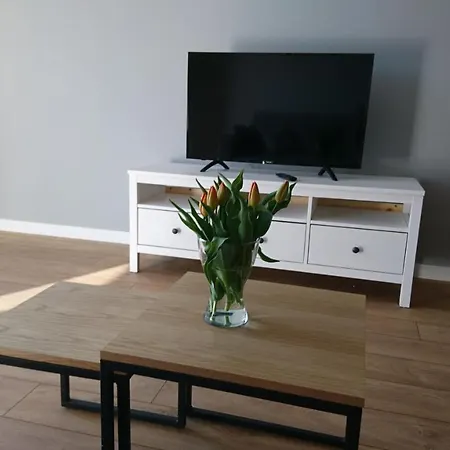Apartament Masarska 11 *