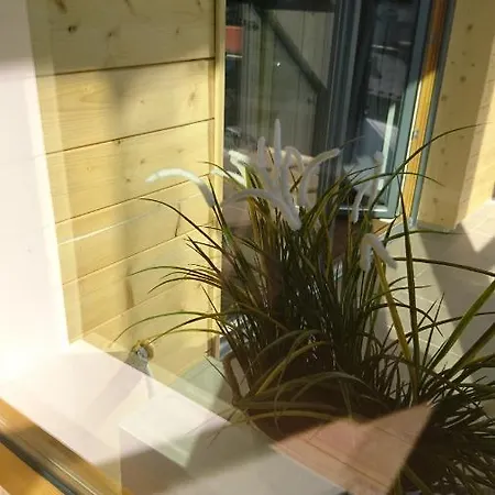Apartament Masarska 11 Апартаменты