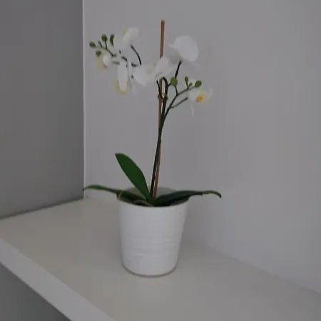 Apartament Masarska 11 קרקוב